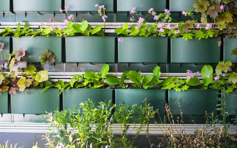 wall with flowers and plants