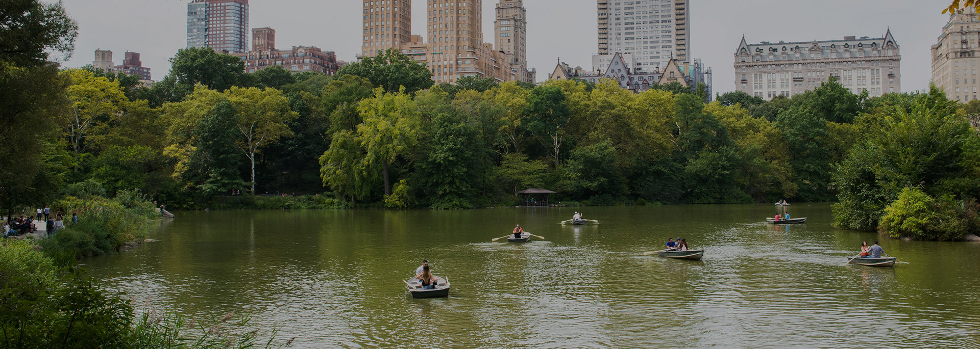 view of people kayaking in a lake at central park