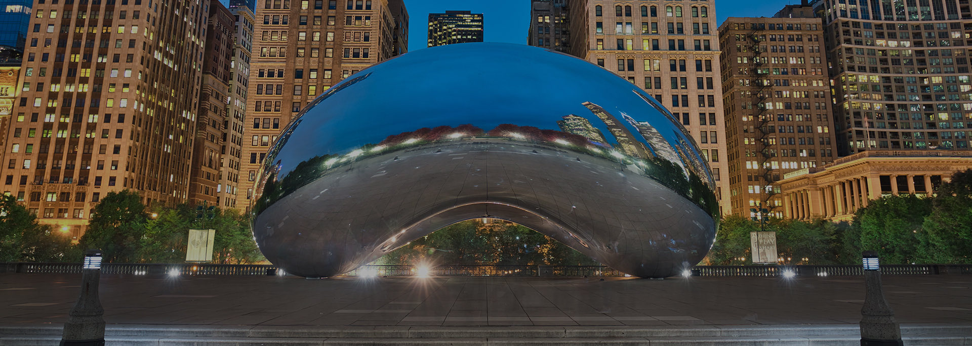 view of the chicago bean