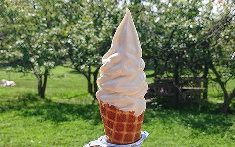 Soft serve ice cream on a cone