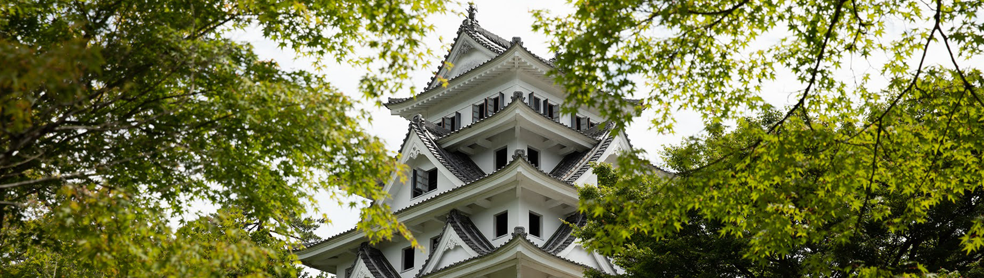 traditional white japanese building surrounded by trees