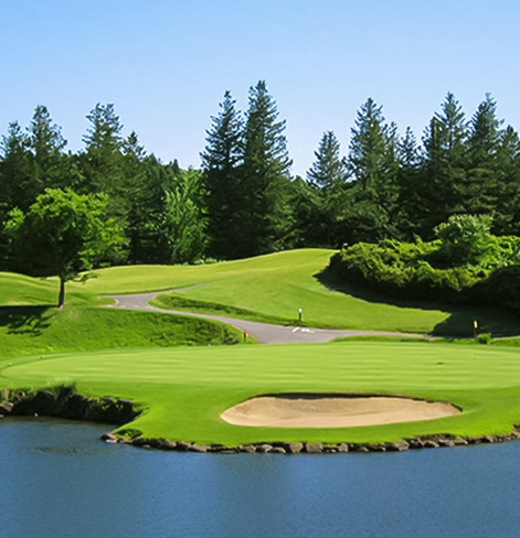 view of a golf course with a lake