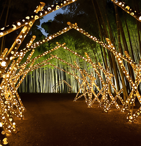 a lit walkway with trees in background