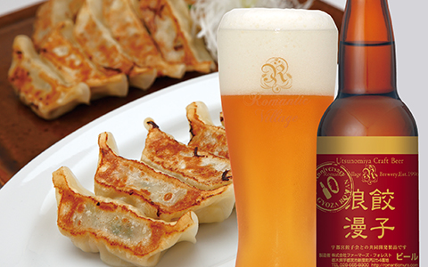 A plate of gyoza dumplings, beer served in a glass and a botle of craft beer