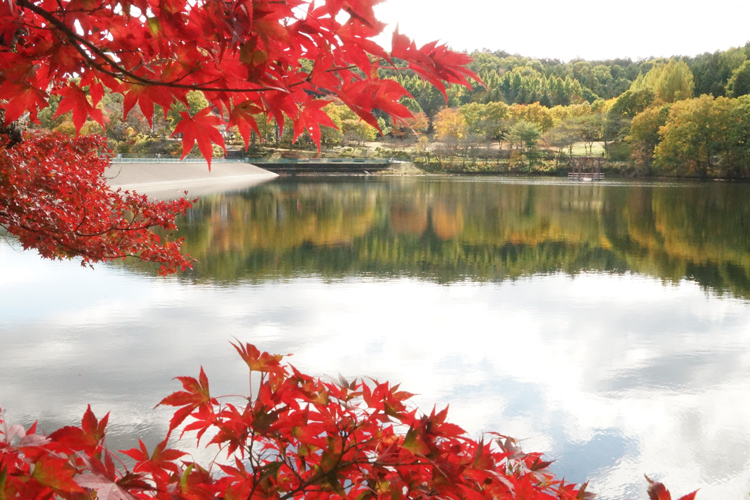 View of the lake in Utsunomiya City Forest Park in Tochigi Prefecture