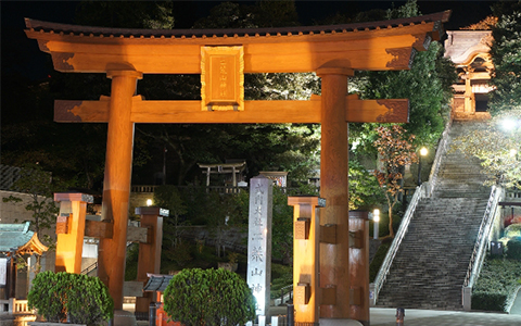 View of the Futaarayama Shrine entrance gate at night