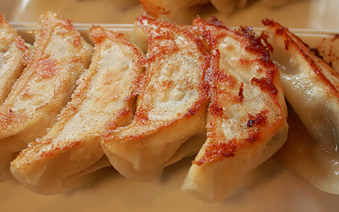 A plate of Utsunomiya gyoza dumplings