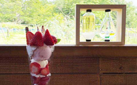 A parfait with strawberries and ice cream
