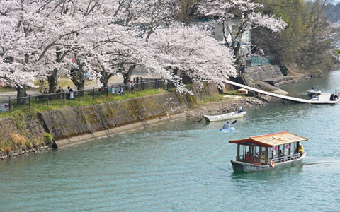 A small boat moving along the Hida River next to the island where the temple is.