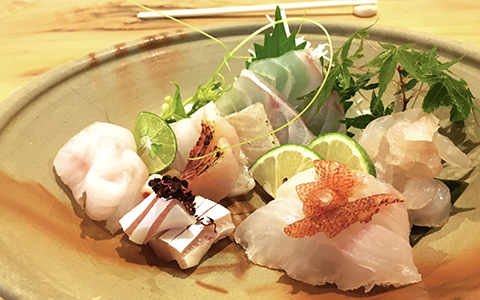 Freshly cut sashimi displayed on a dish