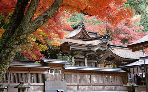Exterior of Oyada Shrine in Gifu Prefecture