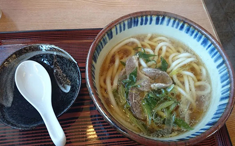 A bowl of hot udon in broth with a small bowl on the side for serving