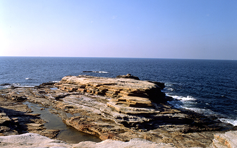 View of the Senjojiki Rock Plateau in Wakayama Prefecture