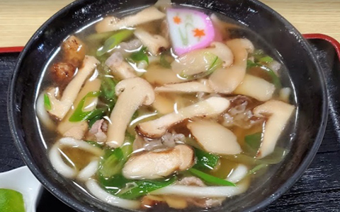 A bow of hot udon with mushrooms and sliced leek in a broth
