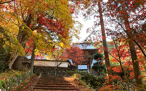 Exterior view of Gyokuunji Temple and stairs leading to an entrance