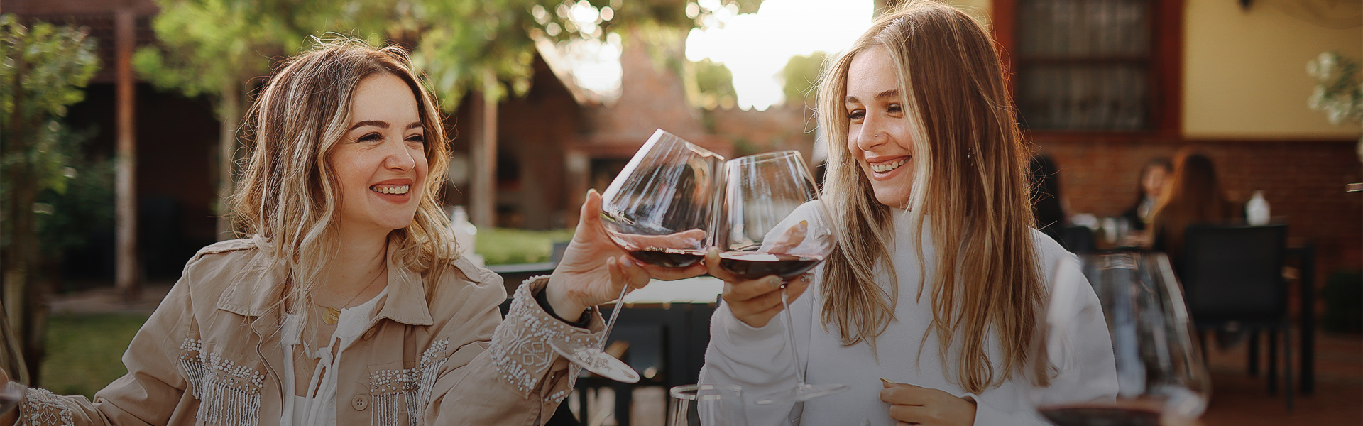 Two woman toasting with glasses of wine