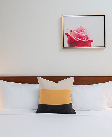 A bed with a cushion and a painting of a flower on the wall.