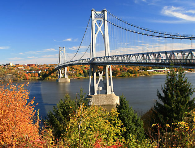 view of bridges and fall trees