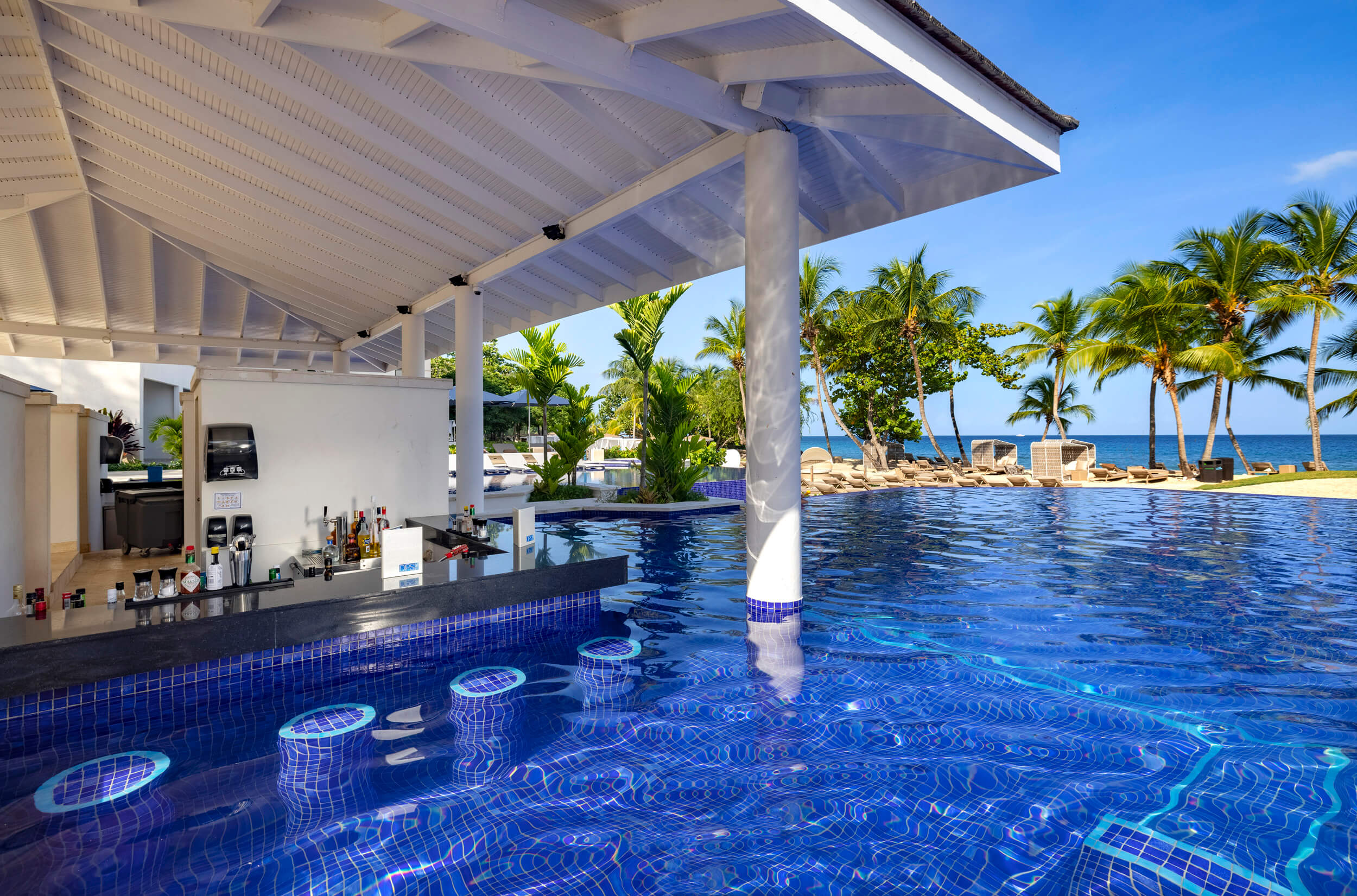 DIPS SWIM-UP BAR RGR