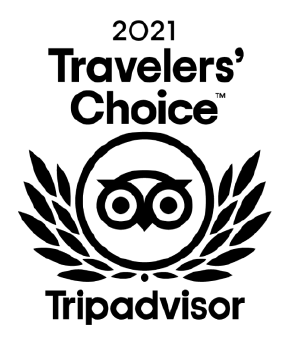 travelers choice award