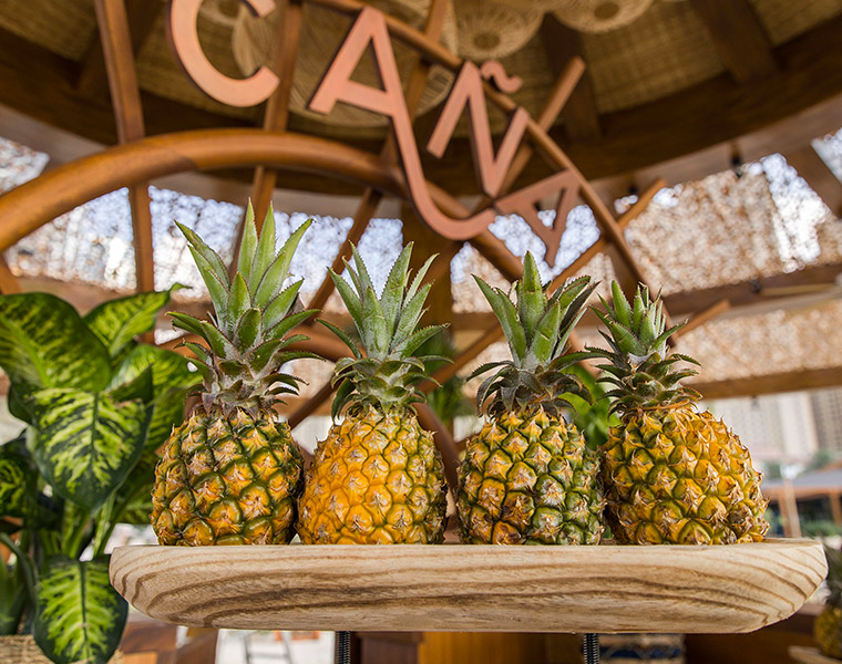 4 pineapples set up on the table