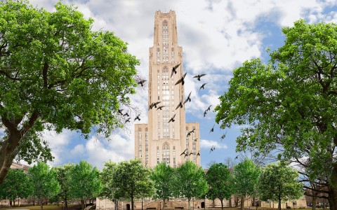 a tall light brown building with lots of trees around it and birds flying in the air