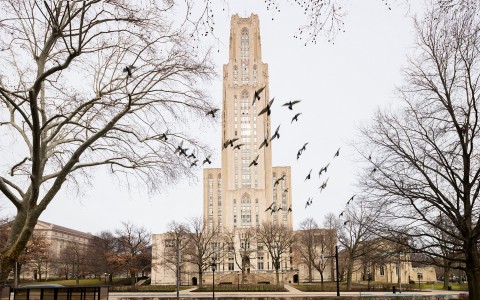 a tall tan building with birds flying in the sky