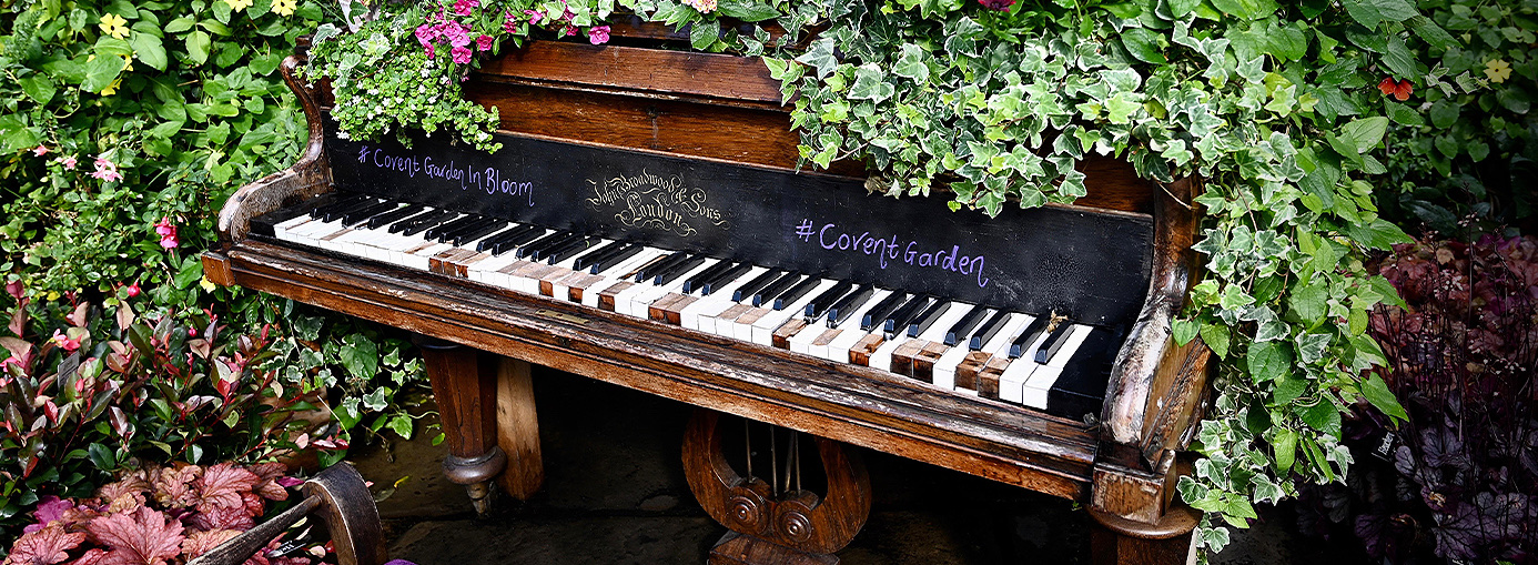 Wooden piano surrounded by thick bushes
