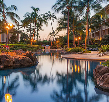large resort pool with many palm trees surrounding