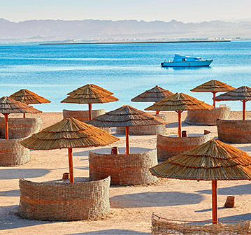 rows of brown umbrella seating areas on the beach